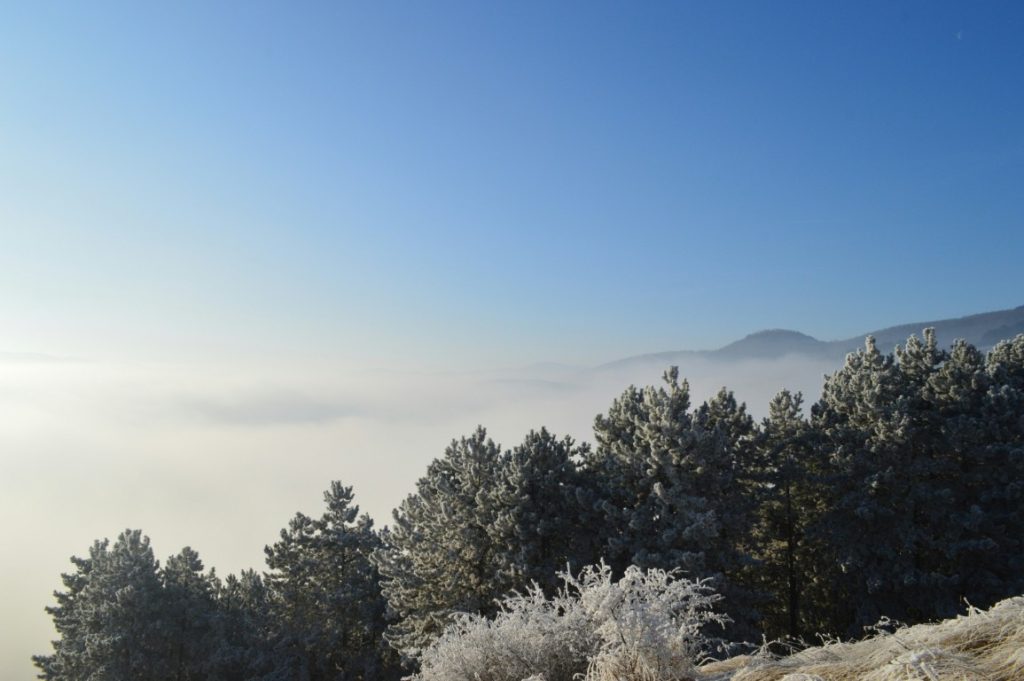 Cold Weather Has Arrived. Here are 4 Tips to Ensure Your Property Survives the Cold